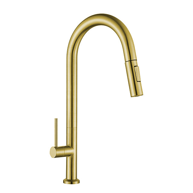 ZAFFIRO PT-514SS (BG) KITCHEN TAP