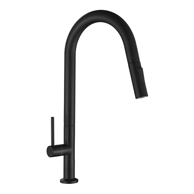 ZAFFIRO PT-514SS (BK) PULL OUT KITCHEN TAP