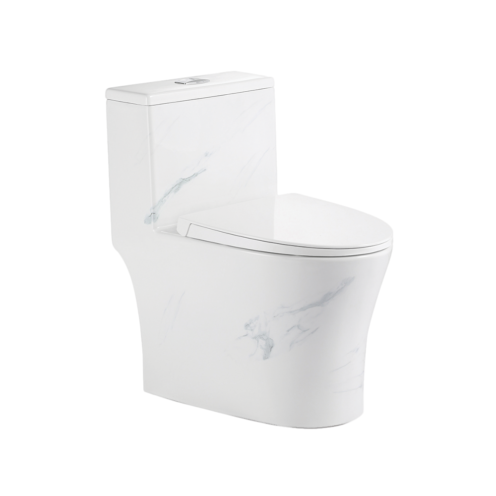 Rubine PN-105 One-Piece Toilet Bowl (Rimless Flush)
