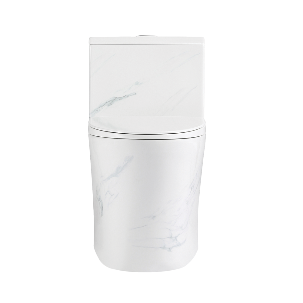 Rubine PN-105 One-Piece Toilet Bowl (Rimless Flush)