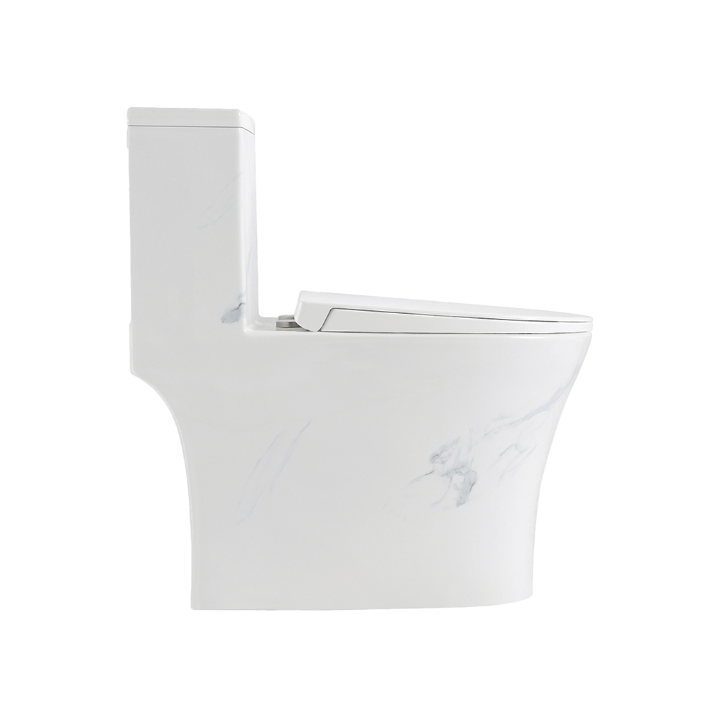 Rubine PN-105 One-Piece Toilet Bowl (Rimless Flush)