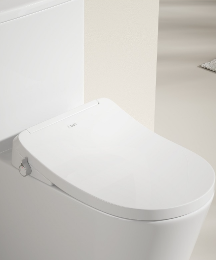 EACO T988 One-Piece Toilet Bowl (Tornado Flush)