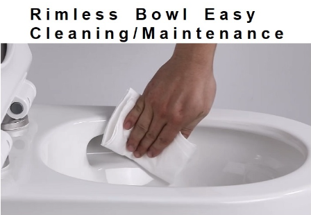 EACO T988 One-Piece Toilet Bowl (Tornado Flush)