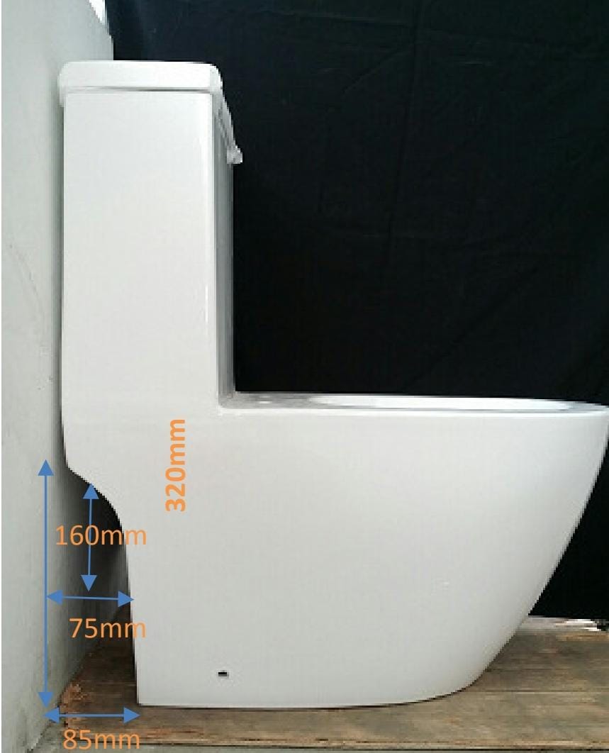 Vera A032T One-Piece Toilet Bowl (Tornado Flush)