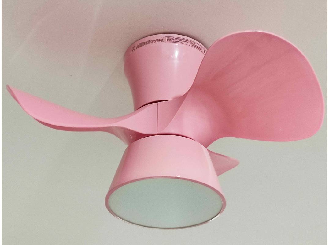 Allbeloved series Ceiling fan