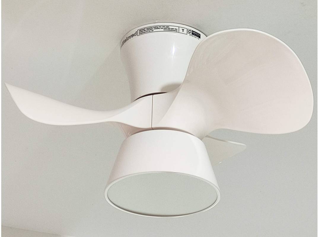 Allbeloved series Ceiling fan