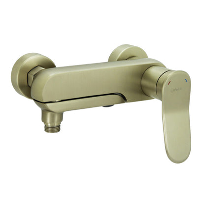 FIDELIS FT-7108HBG SERIES RAINSHOWER SET