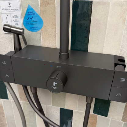 Rigel MXTE1513 4-IN-1 Rainshower System (Available in 3 colours)