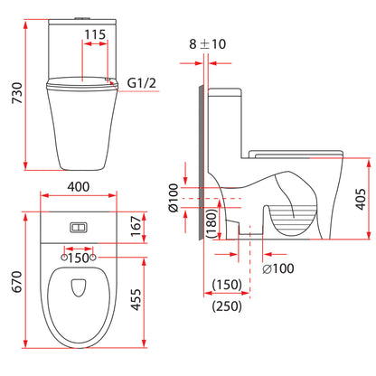 Rubine PN-105 One-Piece Toilet Bowl (Rimless Flush)
