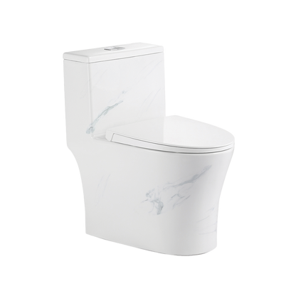 Rubine PN-105 One-Piece Toilet Bowl (Rimless Flush)