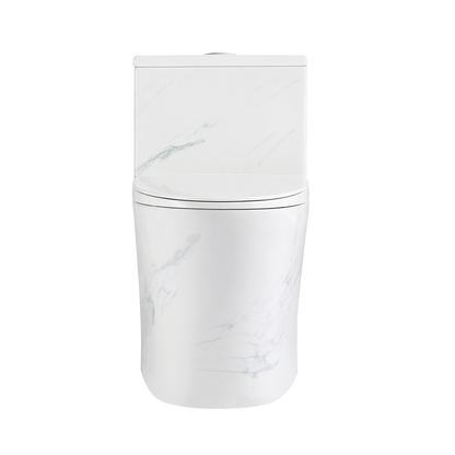 Rubine PN-105 One-Piece Toilet Bowl (Rimless Flush)