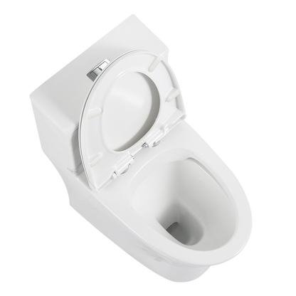 Rubine PN-105 One-Piece Toilet Bowl (Rimless Flush)