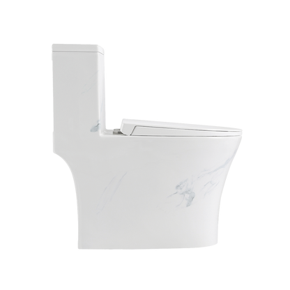 Rubine PN-105 One-Piece Toilet Bowl (Rimless Flush)