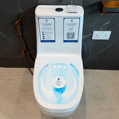 Rigel WO5387F One-Piece Toilet Bowl (Wash down Flush)