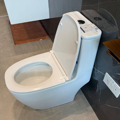 Rigel WO5387F One-Piece Toilet Bowl (Wash down Flush)