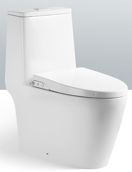 Magnum M919 One-Piece Toilet Bowl (Tornado Flush)
