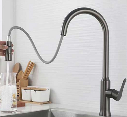 ZAFFIRO PF-4404SS (GM) PULL OUT KITCHEN TAP