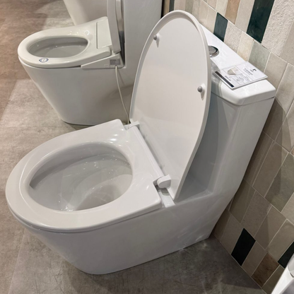 Rigel WO9032F One-Piece Toilet Bowl (Whirlwash Flush)
