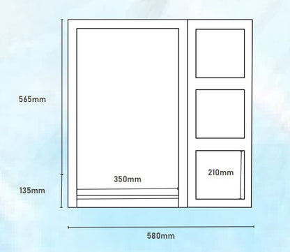 Vera VC.6021-SMG (58CM) Mirror Cabinet