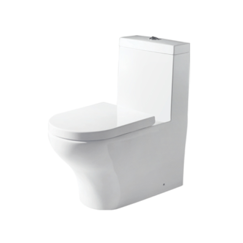 Bravat C2181UW-P-ENG One-Piece Toilet Bowl (Washdown Flush)