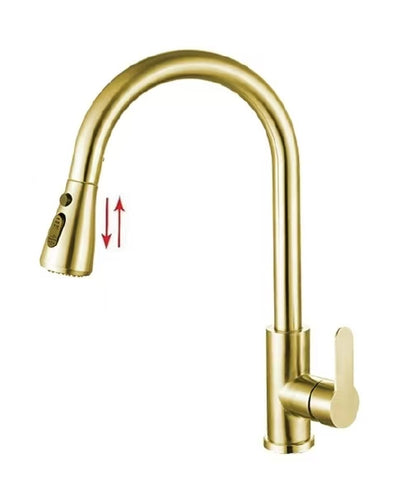 Zaffiro PF-5204SS(BG) Mixer Pull Out Kitchen Tap